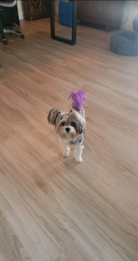FloorsPlus Ash Blond - Gypsy