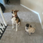TUCKER AND GEORGE