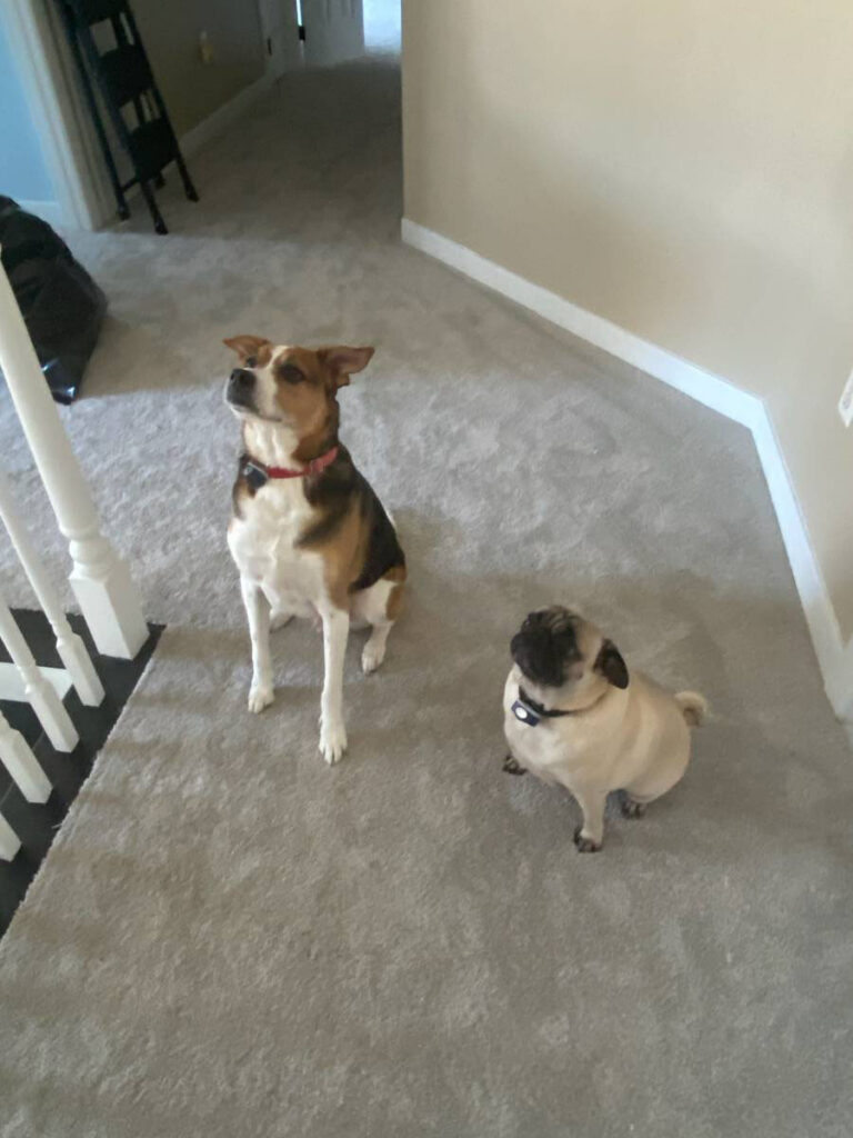 TUCKER AND GEORGE