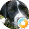 Michi Avatar